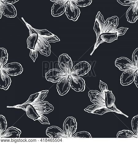 Seamless Pattern With Hand Drawn Chalk Plum Flowers Stock Illustration