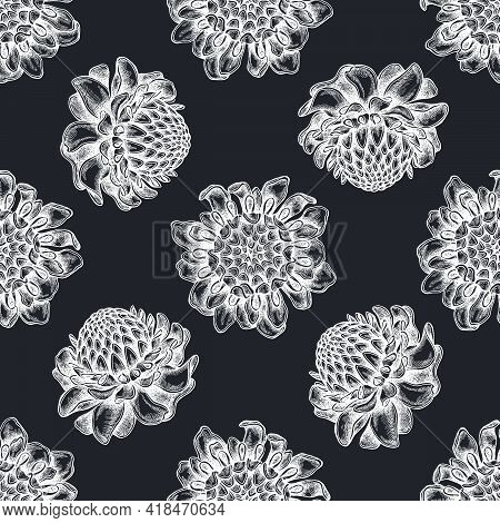 Seamless Pattern With Hand Drawn Chalk Etlingera Stock Illustration