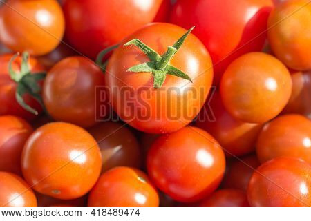 Bunch Of Tasty Juicy Fresh Red Bio Tomatoes From Above. Group Of Organic Nature Solanum Tomato Food 