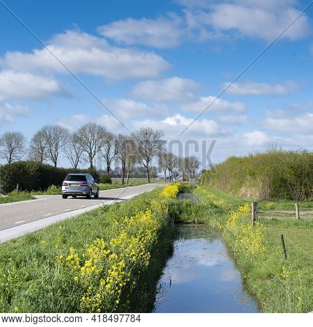 Car On Country Road In Dutch Countryside Between Den Bosch And Zaltbommel In Province Of Brabant Wit