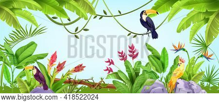 Summer Jungle Frame, Tropical Nature Bird Background, Parrot, Toucan, Banana And Palm Leaves, Liana.