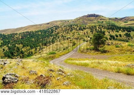 View Of Landscape Of The Eshkol Forest, Northern Israel