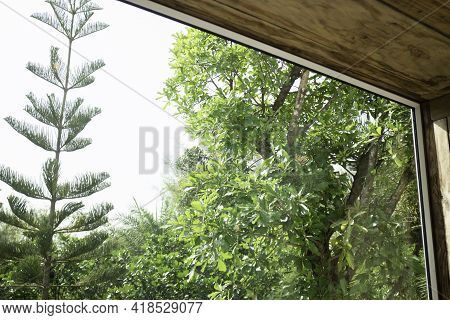 Vintage Glass On Old Wooden Frame, Stock Photo