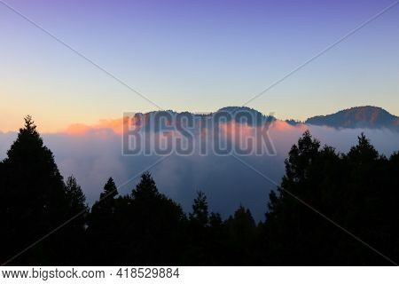 Alishan Mountains Sunset. Alishan National Scenic Area In Taiwan - Beautiful Cypress And Cedar Trees