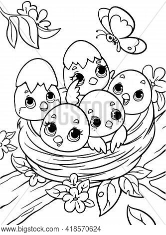 Chicks In The Nest Coloring Book For Kids. Black And White Outline. Children S Task Zoo. Animals Of 