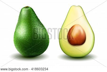 Avocado. Realistic Avocado, Half And Whole Healthy Avocado In 3d Illustration Isolated On White Back