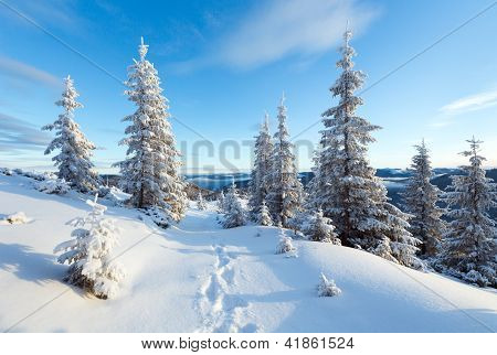 Ochtend Winter berglandschap
