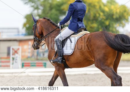 Young Girl Riding Horse At Dressage Advanced Test