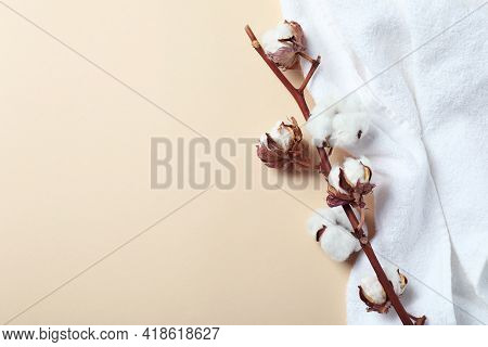 Cotton Plant Branch And Towel On Beige Background