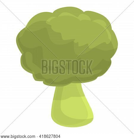 Protein Brocoli Icon. Cartoon Of Protein Brocoli Vector Icon For Web Design Isolated On White Backgr