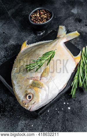 Raw Fish Pompano With Herbs On A Marble Board. Black Background. Top View