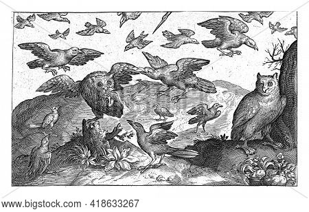 Owl Preyed by Other Birds, Nicolaes de Bruyn