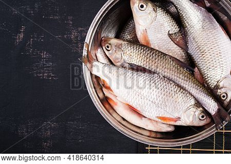 The Common Roach,  Rutilus Rutilus In Bowl. Top View, Above, Copy Space
