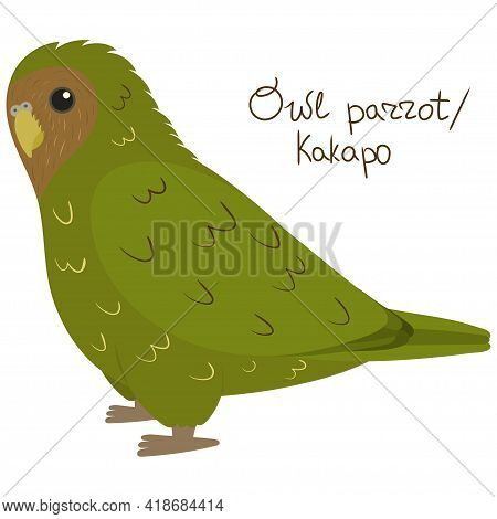 Owl Parrot Or Kakapo In Cartoon Style On White Background. Vector Hand Drawn Illustration. Strigops 