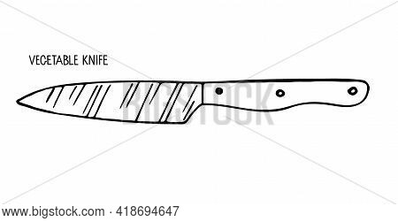 Vegetable Knife Isolated On White Background. Stainless Steel Kitchen Knife For Vegetable Sketch. Sp