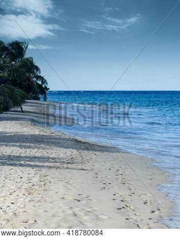 Footmarks On A White Sandy Beach Whit Palm Trees In Puerto Rico