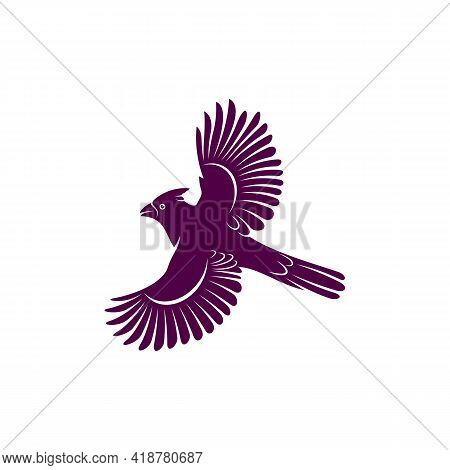 Northern Cardinal Bird Design Vector Illustration, Creative Northern Cardinal Bird Logo Design Conce