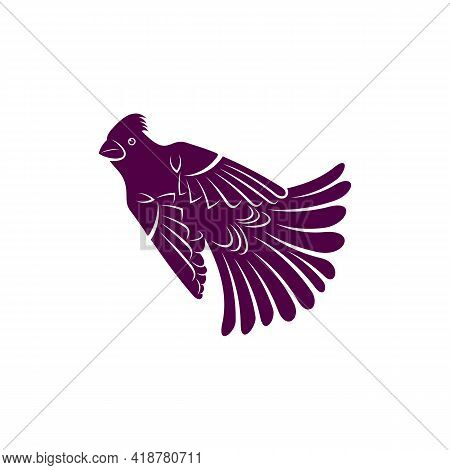 Northern Cardinal Bird Design Vector Illustration, Creative Northern Cardinal Bird Logo Design Conce