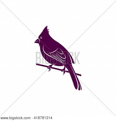 Northern Cardinal Bird Design Vector Illustration, Creative Northern Cardinal Bird Logo Design Conce