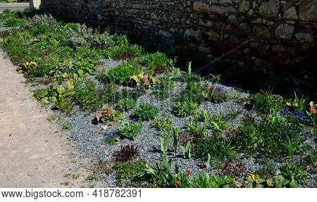 Perennial Bed Mulched With Gray Gravel In Front Of A Limestone Stone Wall In A Square With Benches W