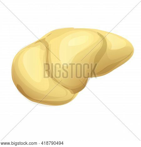 Part Durian Icon. Cartoon Of Part Durian Vector Icon For Web Design Isolated On White Background