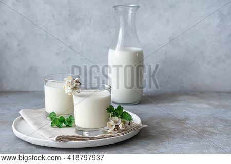 Natural, Healthy Milk Drink-yogurt, Kefir, Lassi, In Two Glasses On A Gray Background With Greenery 
