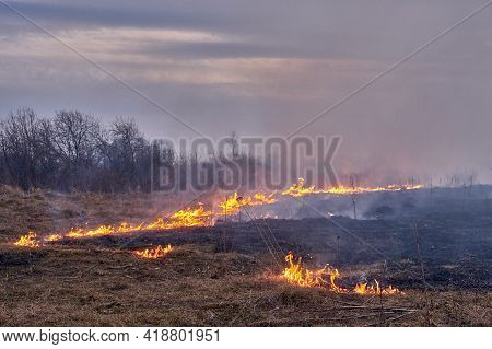 In The Spring In The Evening, Dry Grass Burns On The Field Near The Road. Grassroots Natural Fire.