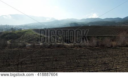 Daylight Drone Flight Over Large Valley With Plantations And Greenery. Shot. Aerial View Of Farmland