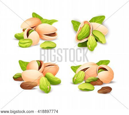 Pistachios Nut Compositions Set, Label And Sticker