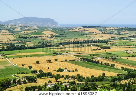 Marken (Italien)-Landschaft