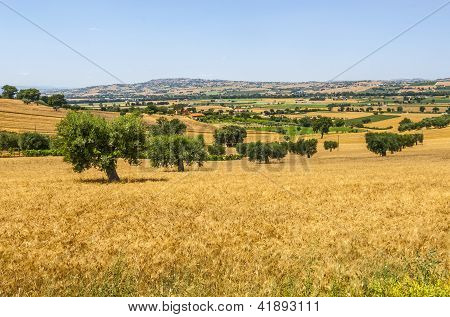 Marken (Italien)-Landschaft