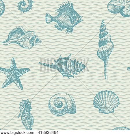 Seamless Pattern With Pencil Drawings Of Seashells, Starfish And Seahorses On A Backdrop With A Blue