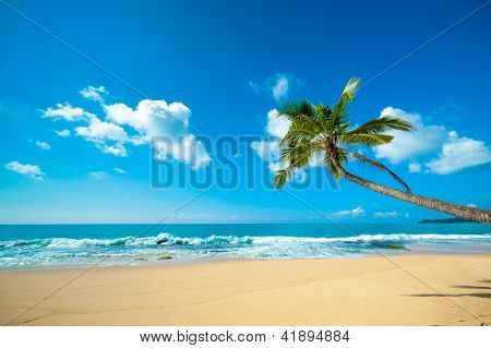 ริมชายหาดขาวละเอียดในศรีลังกา