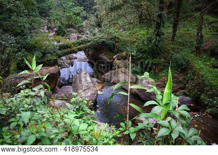 A Himalyan Rivulets With Stagnant Clear Water , Green Forest And Boulders.