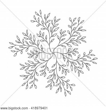 Decorative Floral Element. Isolated Element. Snowflake-shaped Twigs. Vector