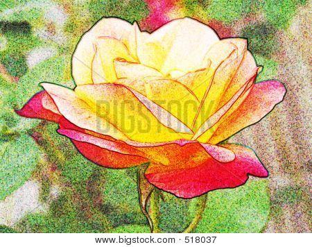 Artsy Rose