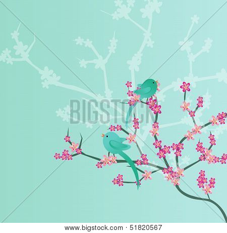 Pink cherry blossoms