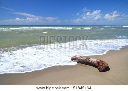 Restless sea on sandy beach Marina di Vecchiano nearby Pisa, Tuscany in Italy