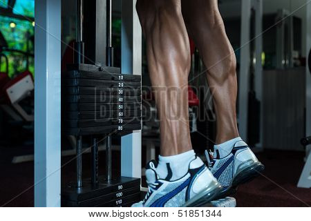 Sporty Legs Calf