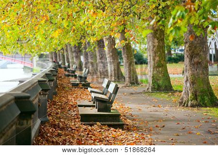 Benches on the Thames in Victoria Tower Gardens park in London