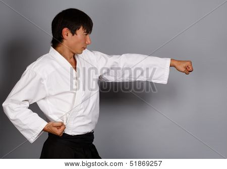 Martial Arts Attack