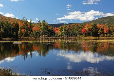 Reflections of Fall Colors