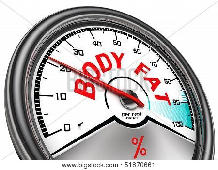 Body Fat Conceptual Meter