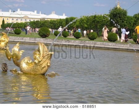 Springvand fisk
