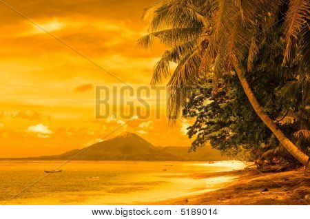 Tropical Beach, Banda Adaları, Endonezya