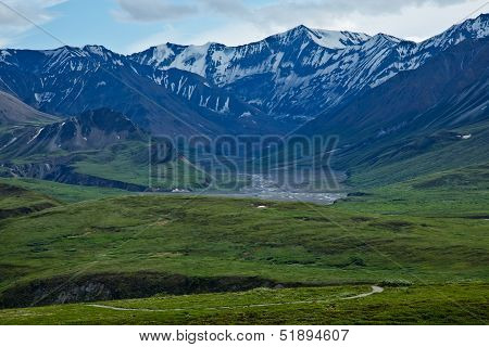 Trails in Denali National Park