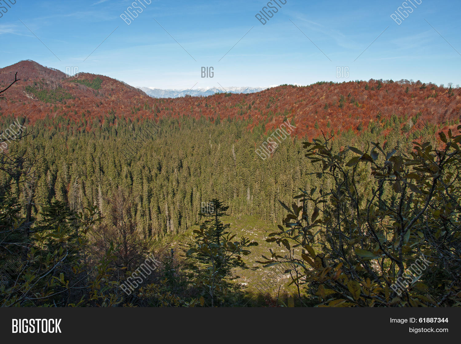 Frost Hollow Autumn Image & Photo (Free Trial) Bigstock