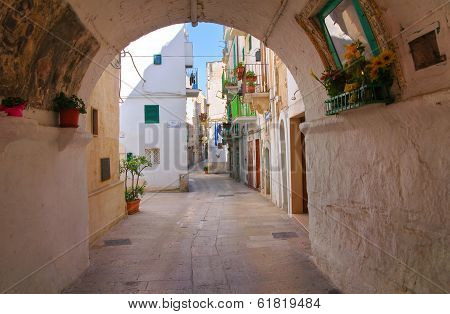 Alleyway. Monopoli. Puglia. Italy.