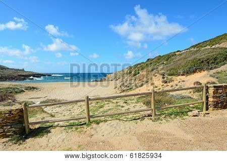 Wooden Fence