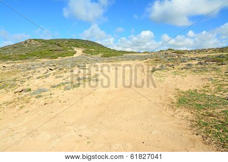 Yellow And Green Hill